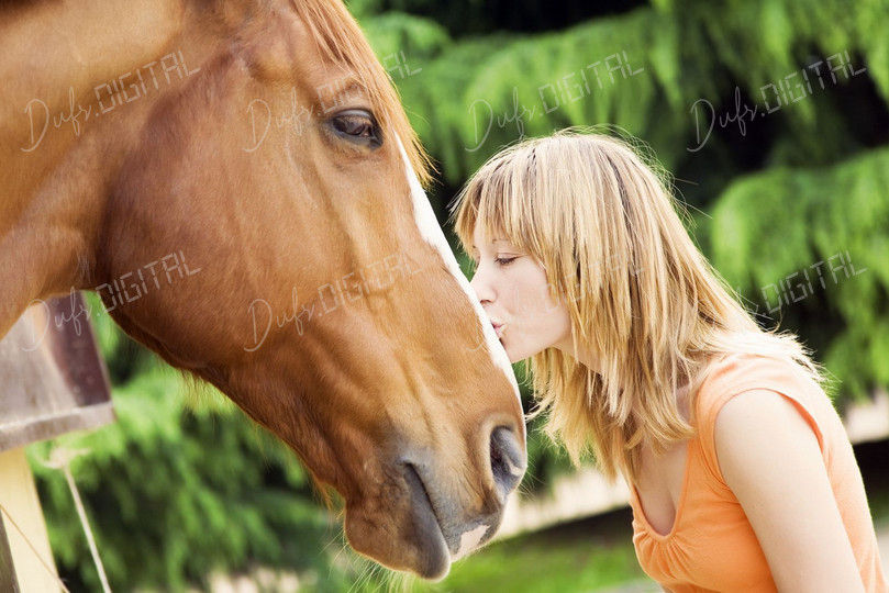 Affectionate Horse Interaction