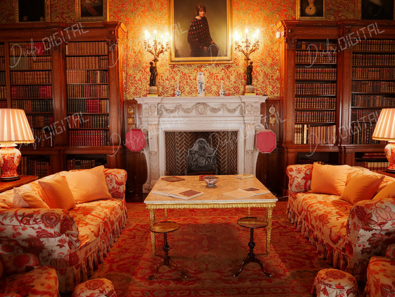 Elegant Vintage Library