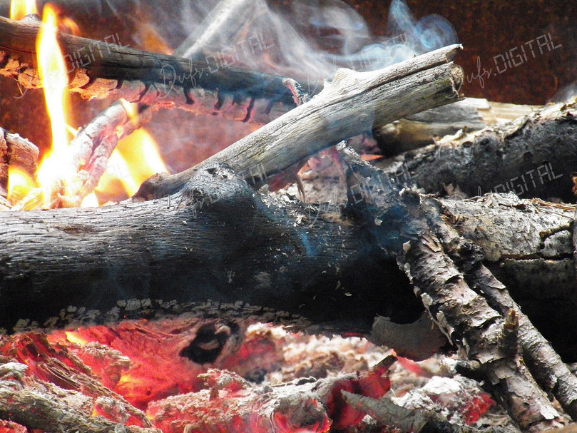 Burning Logs in Fire