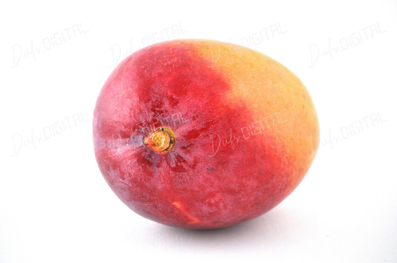 Fresh Juicy Mango