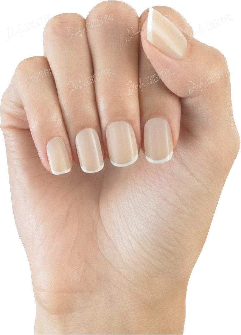 Elegant French Manicure