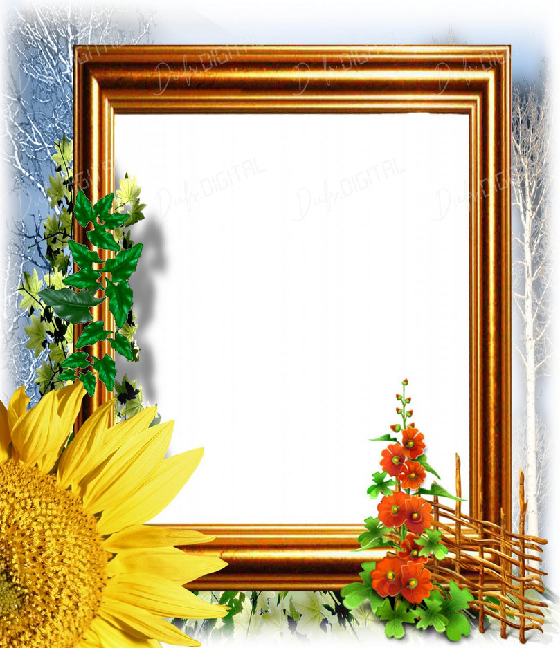 Floral Frame Design