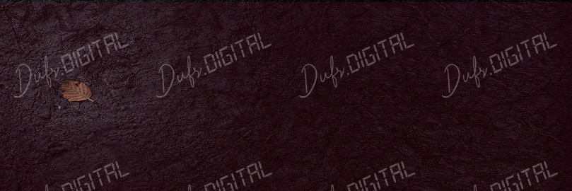 Lonely Leaf on Texture