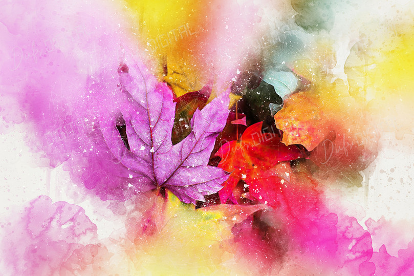 Colorful Autumn Leaves