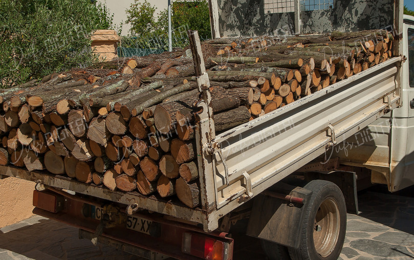 Loaded Wood Truck