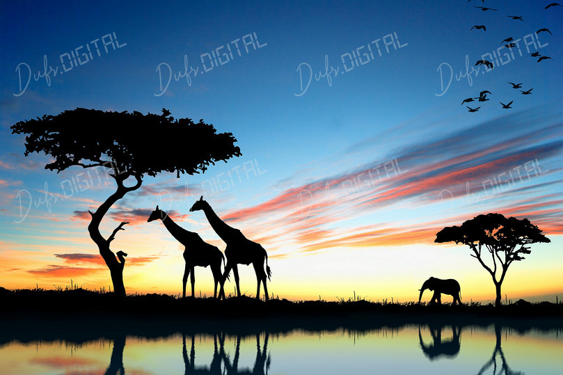 Silhouetted Giraffes at Sunset