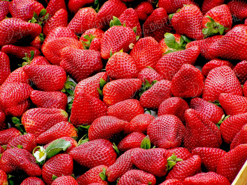 Fresh Ripe Strawberries