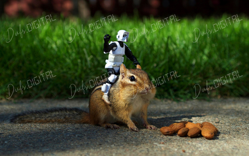 Toy Figure on Squirrel