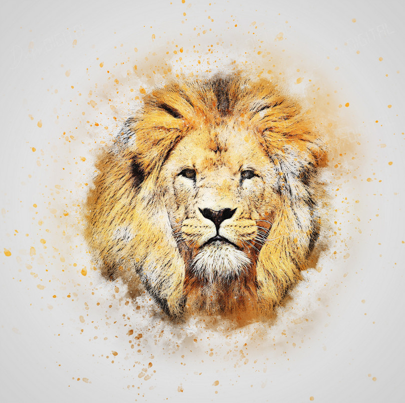 Majestic Lion Portrait