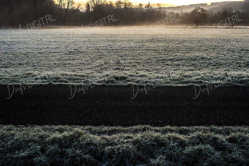Frosty Morning Landscape
