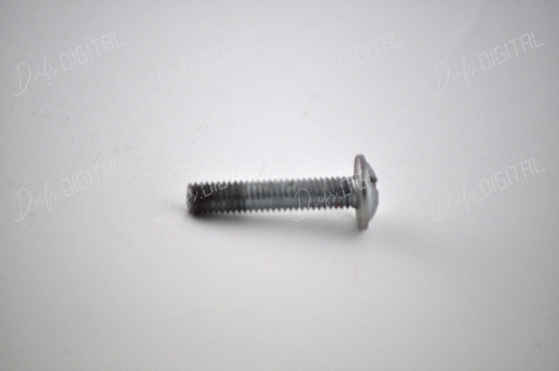 Metal Screw on Surface