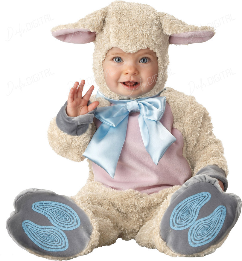 Cute Baby in Costume