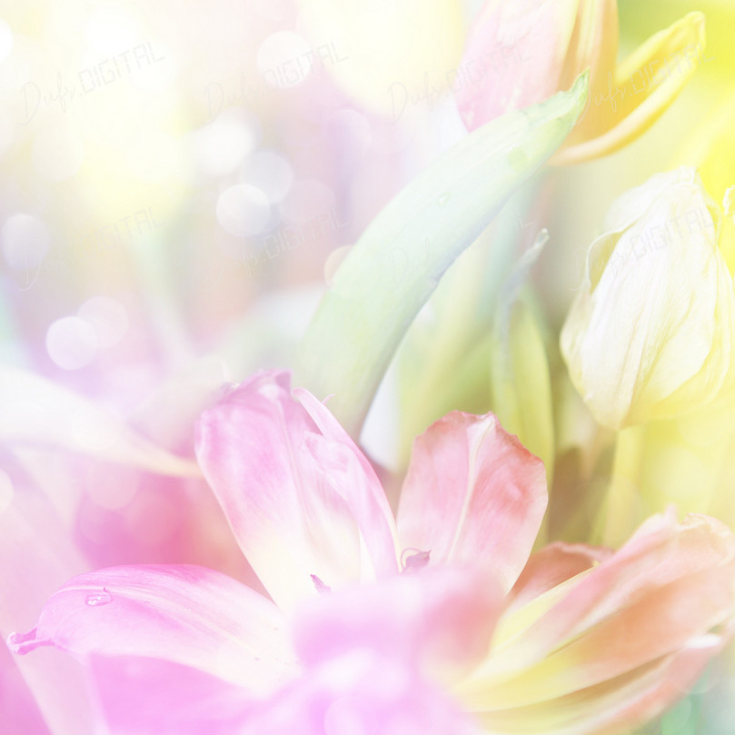 Soft Floral Background