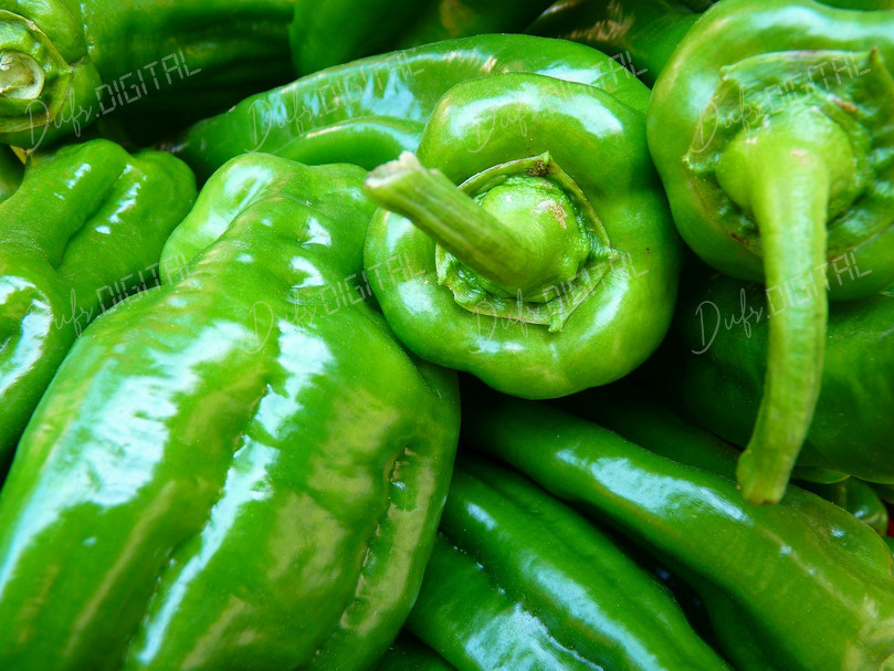 Fresh Green Peppers