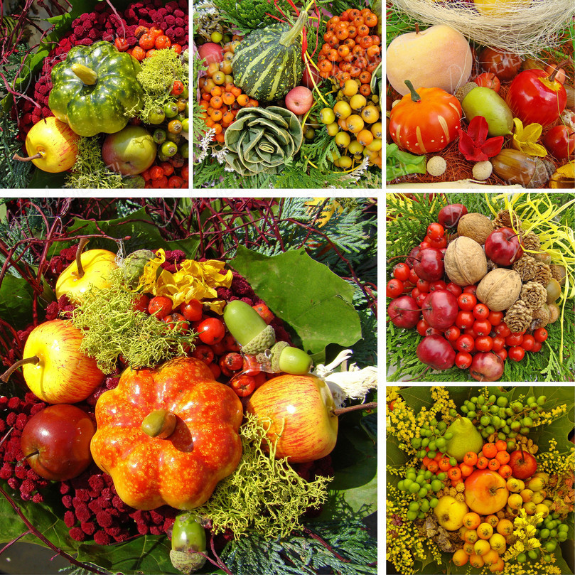 Colorful Fall Harvest