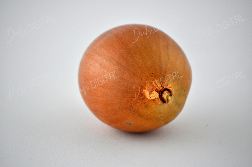 Single Brown Onion