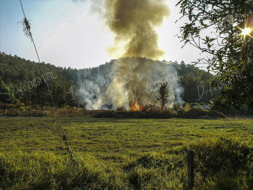 Controlled Burn in Nature