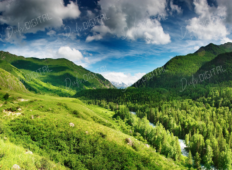 Lush Valley Landscape