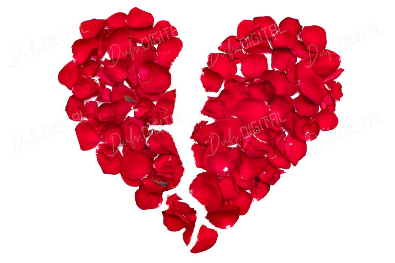 Broken Heart Rose Petals