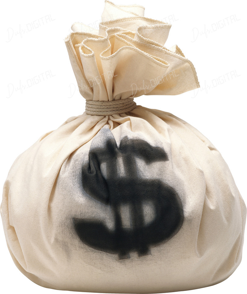 Money Bag Icon
