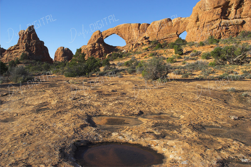 Desert Rock Arch