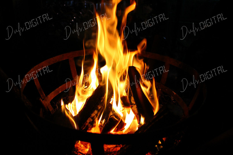 Cozy Campfire Flames